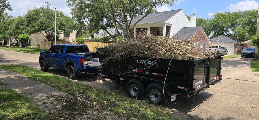 Truck and trailer loaded with tree debris